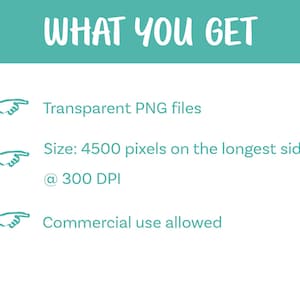 May include: Text on a white background with a teal header that reads "WHAT YOU GET". The text below lists "Transparent PNG files", "Size: 4500 pixels on the longest side @ 300 DPI", and "Commercial use allowed".