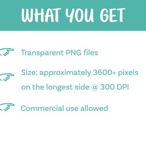 May include: A digital information graphic with a teal header reading WHAT YOU GET in white text. Three bullet points follow, each preceded by a teal pointing finger icon: Transparent PNG files, Size: approximately 3600+ pixels on the longest side @ 300 DPI, and Commercial use allowed.