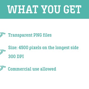 May include: A digital information graphic with a teal header reading WHAT YOU GET in white text. Below, three lines of teal text are preceded by white hand icons: Transparent PNG files, Size: 4500 pixels on the longest side, 300 DPI, and Commercial use allowed.