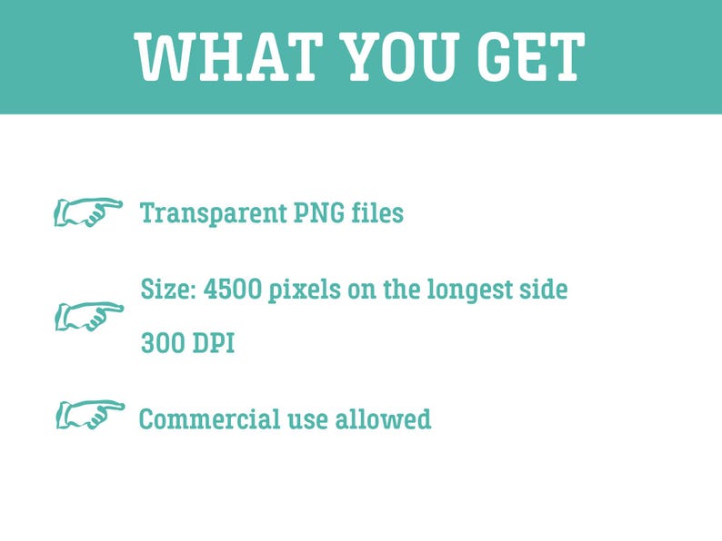 May include: A digital information graphic with a teal header reading WHAT YOU GET in white text. Below, three lines of teal text are preceded by white hand icons: Transparent PNG files, Size: 4500 pixels on the longest side, 300 DPI, and Commercial use allowed.