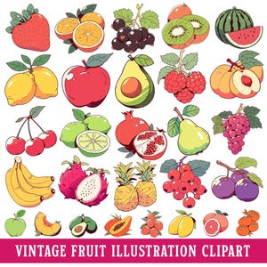 Set di clipart PNG di frutta vintage, frutta tropicale, illustrazione SVG ad acquerello, fragola, anguria, ciliegia, ananas, banana, mela, pera