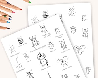 Kolorowanka Żuk Homeschool Printables Instant Download