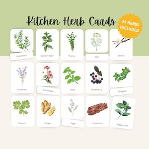 Tarjetas didácticas de hierbas, recursos imprimibles de educación en el hogar Montessori o estudio de la naturaleza de Charlotte Mason imprimible