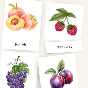 Obst 3-teilige Karten PDF, Montessori-Nomenklaturkarten, Vorschulressource, Hausschuleinheitsstudie, Lebensmittelkarten zum Ausdrucken,