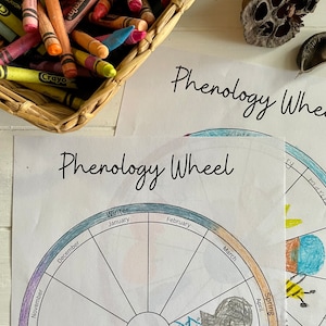 Nature Observation Sheet Phenology Wheel Nature Study Printable Instant Download for Charlotte Mason Homeschool