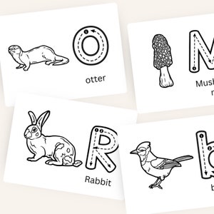 Naturbezogene Alphabet-Karten zum Nachzeichnen In Schwarz-Weiß-Buchstabengebilde Homeschool druckbare Flash-Karten Von der Natur inspiriert
