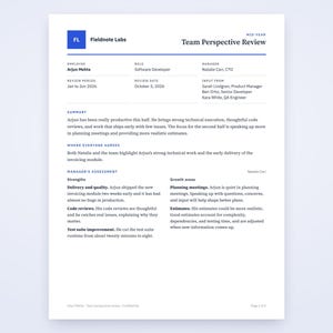 Software Developer Performance Review Form, Written From Your Voice Notes, Printable Template PDF