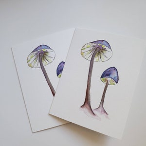 Carte Champignons aquarelle des bois