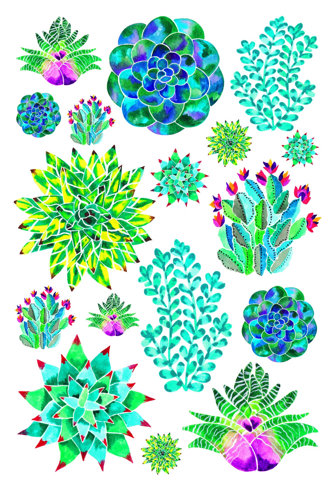 Succulent Poster Nature Art Print Cactus and Succulent Etsy