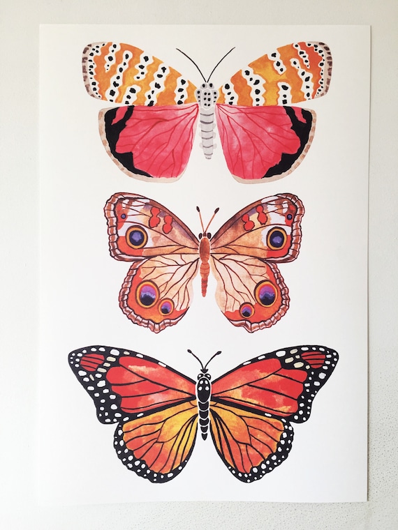 Butterfly Poster Etsy