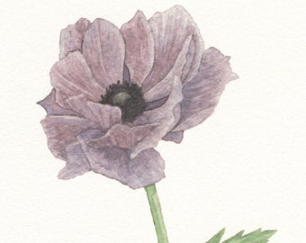 Anemone Flower Giclee Printed Card