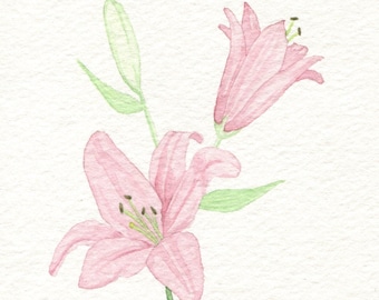 Pink Lily Card