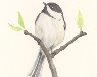 Little Spring Chickadee Original Painting