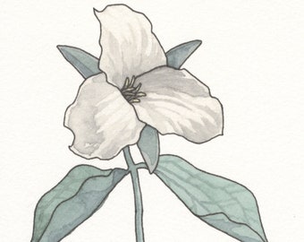 Trillium Flower Giclee Printed Card