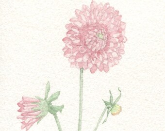 Pink Dahlia Card