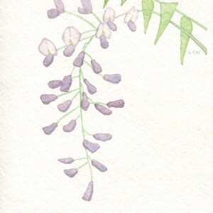 Wisteria Card image 1