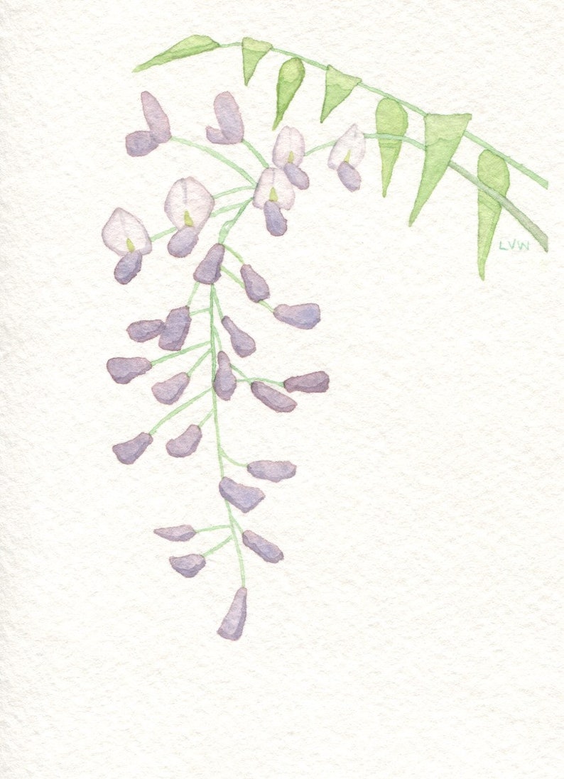 Wisteria Card image 1