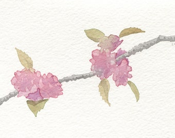 Japanese Cherry Blossoms Card