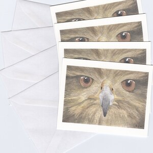 Hawk Face Printed Card Set image 2