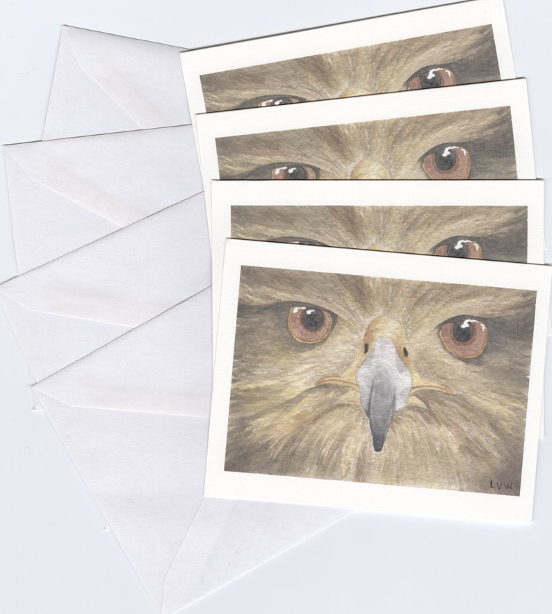 Hawk Face Printed Card Set image 2