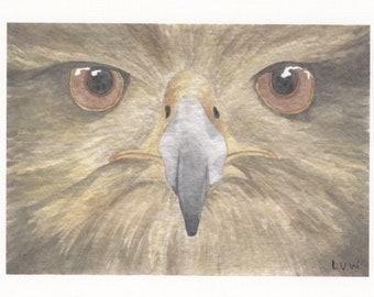 Hawk Face Printed Card Set