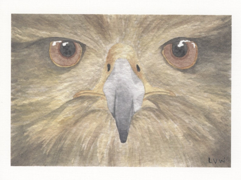 Hawk Face Printed Card Set image 1