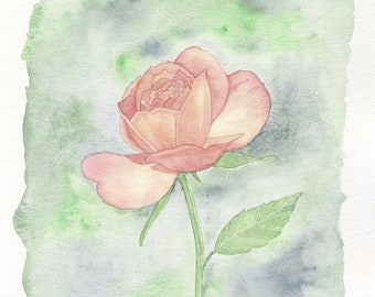 Rose Bloom Original Painting