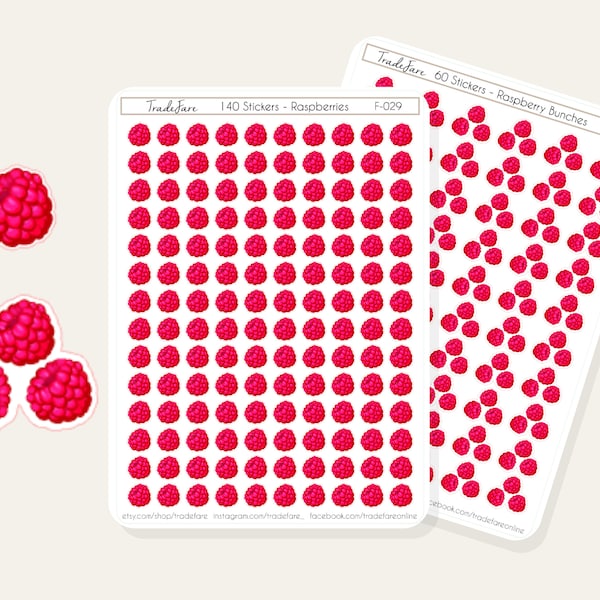 Raspberry Stickers For Planner, Raspberry Sticker, Mini Raspberry Icon Stickers, Meal Planning, Healthy Snack Sticker, Raspberries F-029