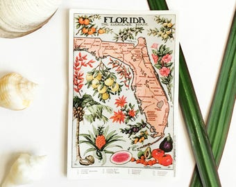 May include: A vintage postcard depicting a map of Florida, the "Everglade State." The map is surrounded by illustrations of Florida's native plants and fruits, including oranges, pineapples, and tomatoes.