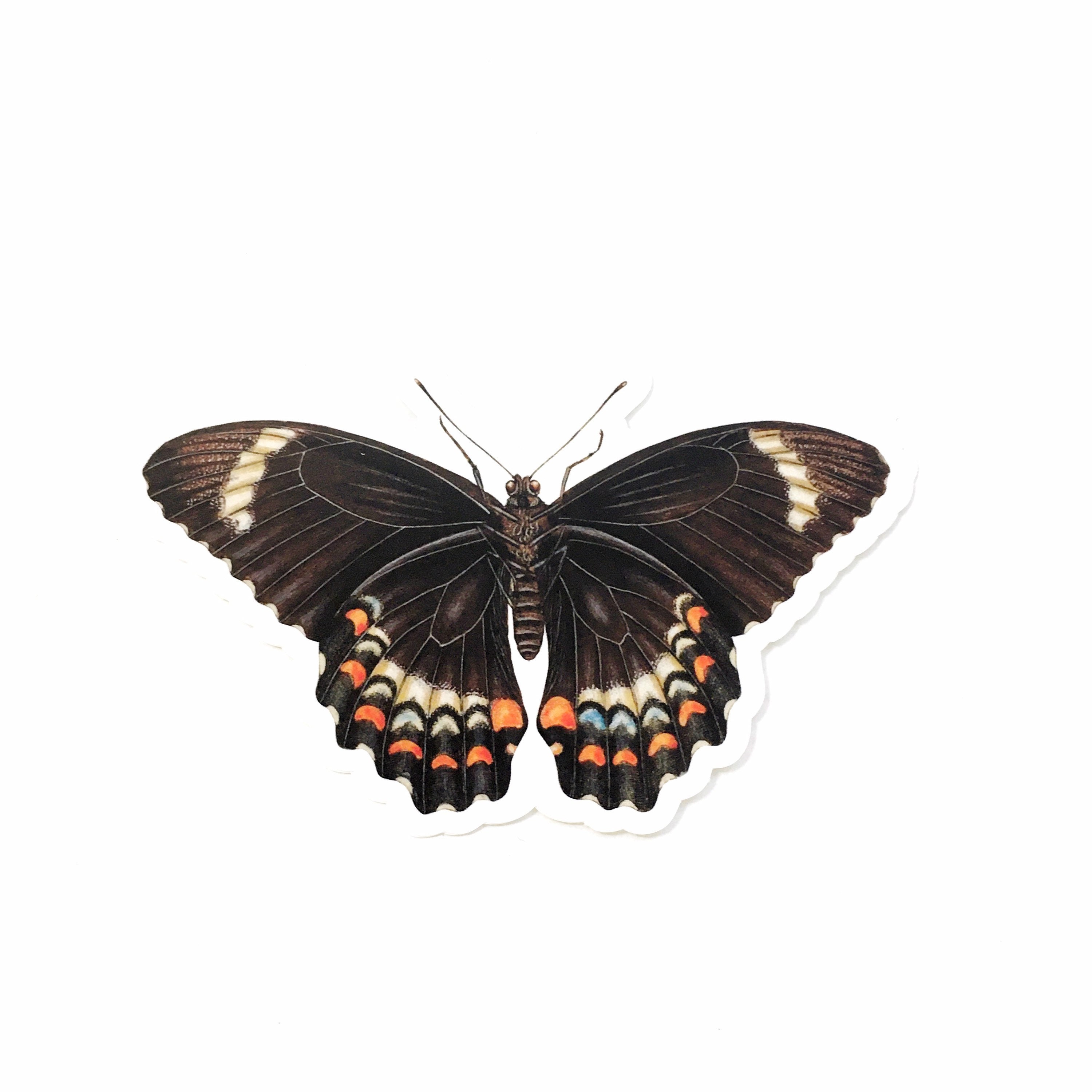 Black Butterfly Stickers, Vintage Sticker Pack, Durable Decals for Junk Journal, MacBook Decal for Laptop, Antique Illustrated Gifts - Thumbnail 2