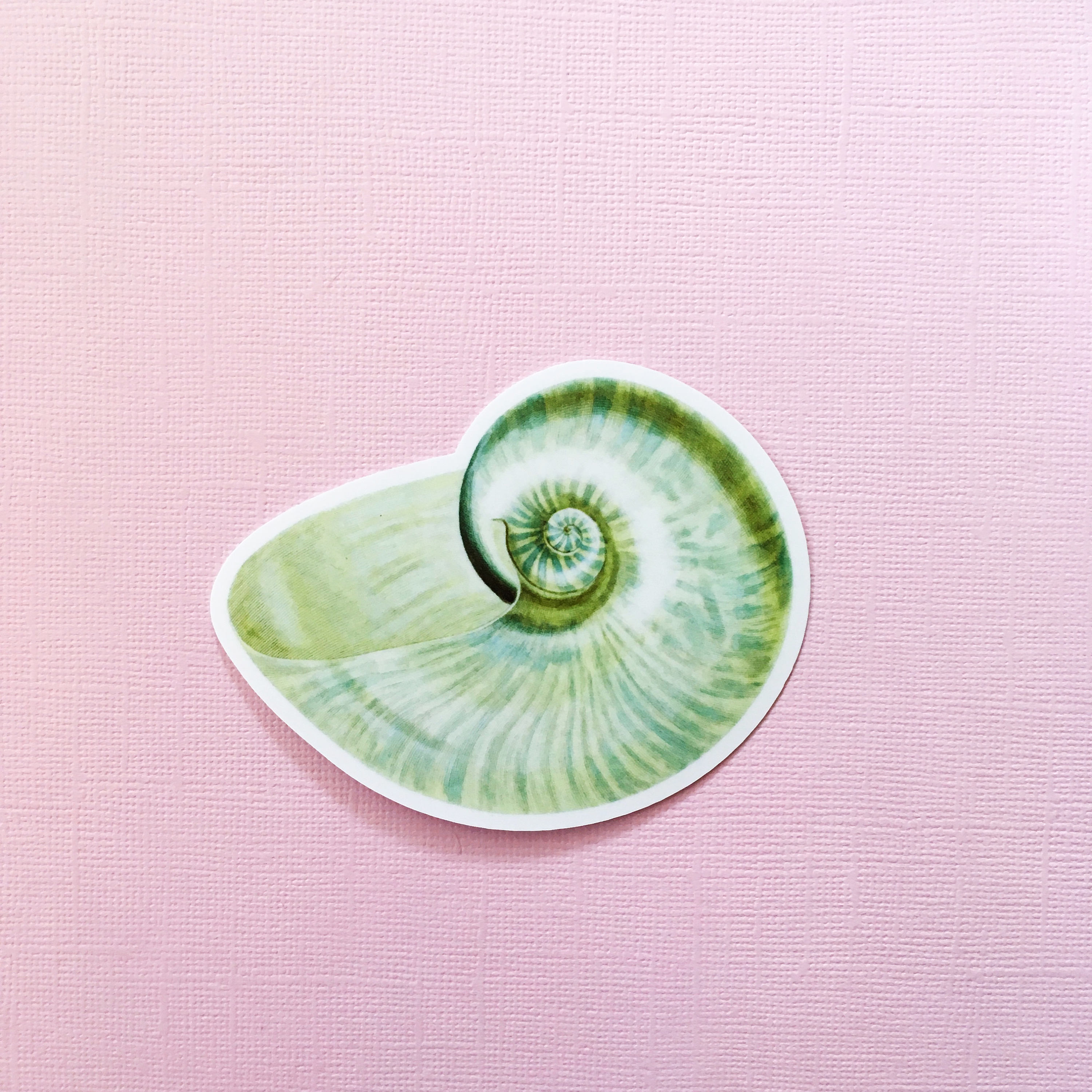 Green Seashell Sticker, Beachy Vintage Vinyl Sticker, Shell Sticker, Beach Vinyl Ocean Sticker Nautilus Sticker Laptop Sticker - Thumbnail 4