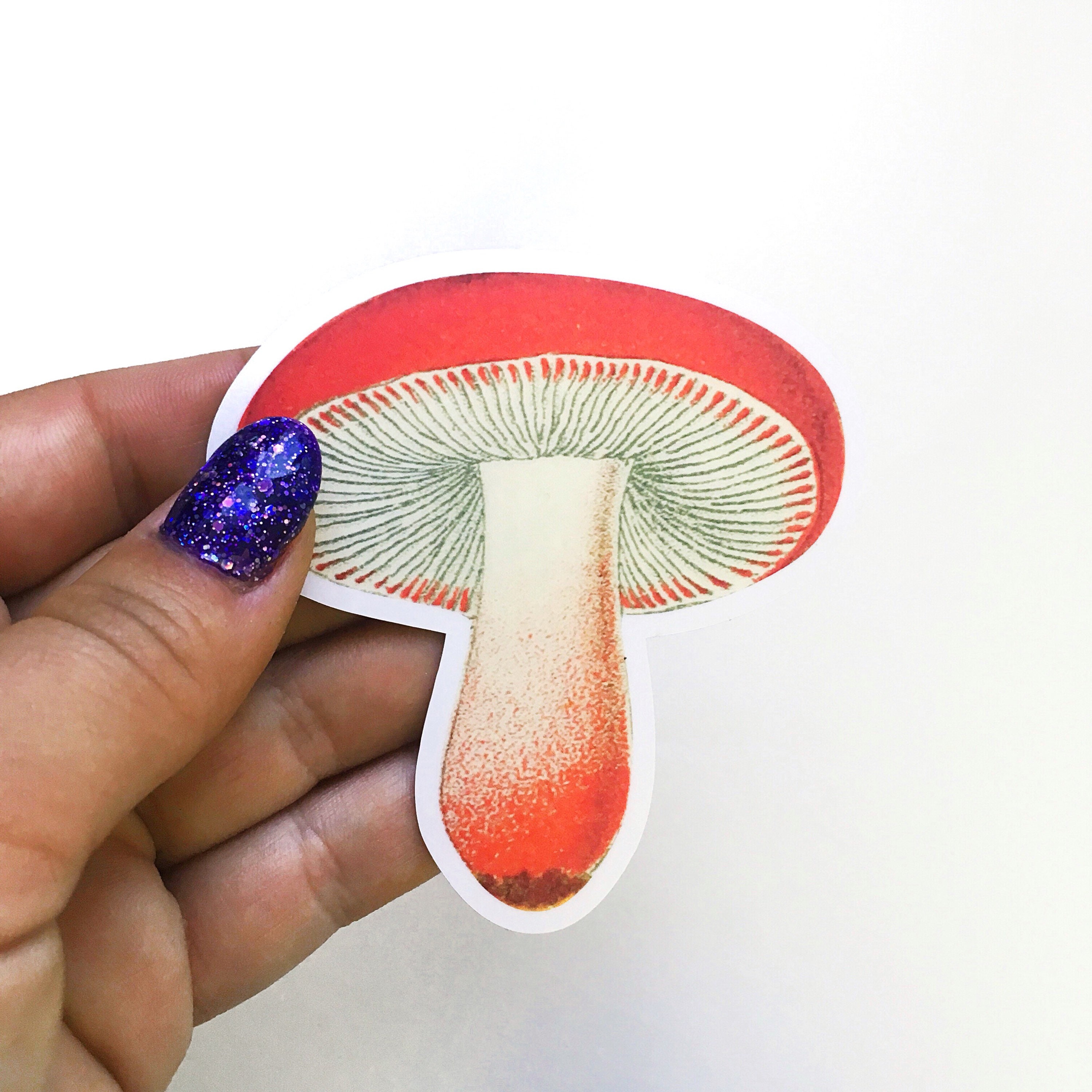 Red Mushroom Sticker Pack, Laptop Stickers, Bumper Decal Weird Decals, Alice in Wonderland, Vintage Botanical, Surreal Nature Junk Journal