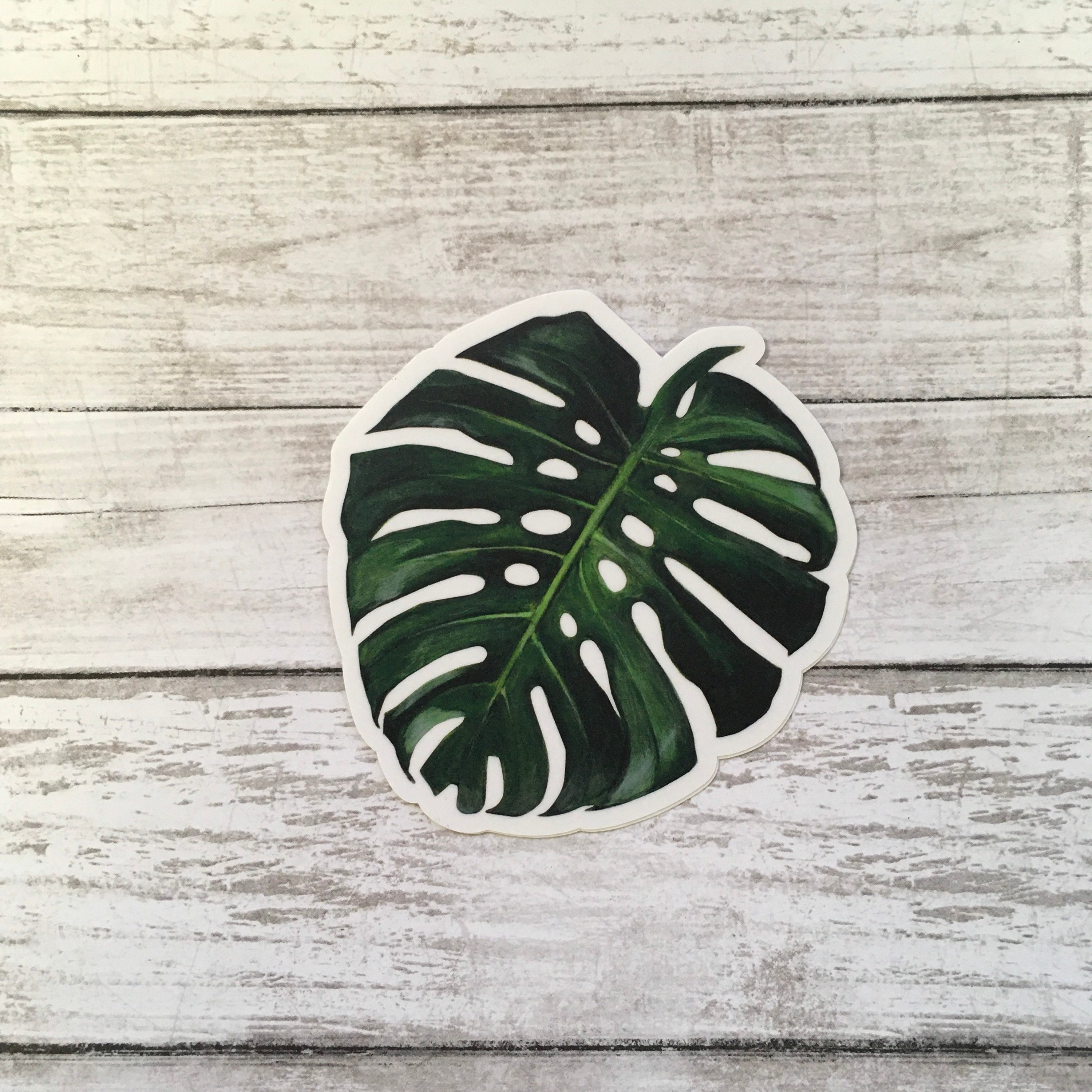 Monstera Stickers Vinyl, Laptop Sticker Pack, Vintage Decal, Botanical ...