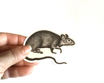 Rat Vinyl Stickers, Black and White Rodent Vintage Halloween Vinyl Sticker Pack, Creepy Decals, Vinyl Decal, Gift for Rat Mom or Dad