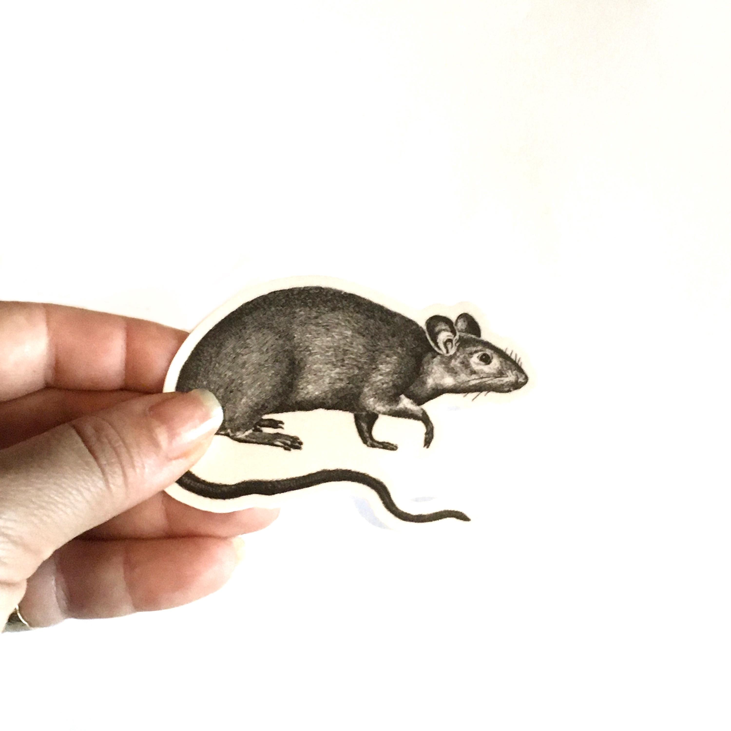 Rat Vinyl Stickers, Black and White Rodent Vintage Halloween Vinyl Sticker Pack, Creepy Decals, Vinyl Decal, Gift for Rat Mom or Dad - Image 1