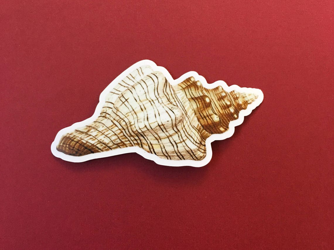 Sea Shell Sticker Durable Beachy Vintage Best Vinyl Stickers Etsy