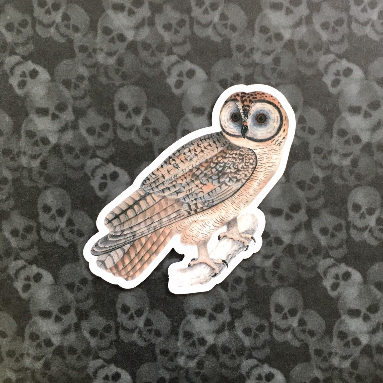 Owl Sticker Vinyl Sticker Pack, Bird Sticker, Laptop Sticker, Outdoor Stickers, Waterbottle Sticker Bomb 50s 60s 70s Antique Owl - Thumbnail 4