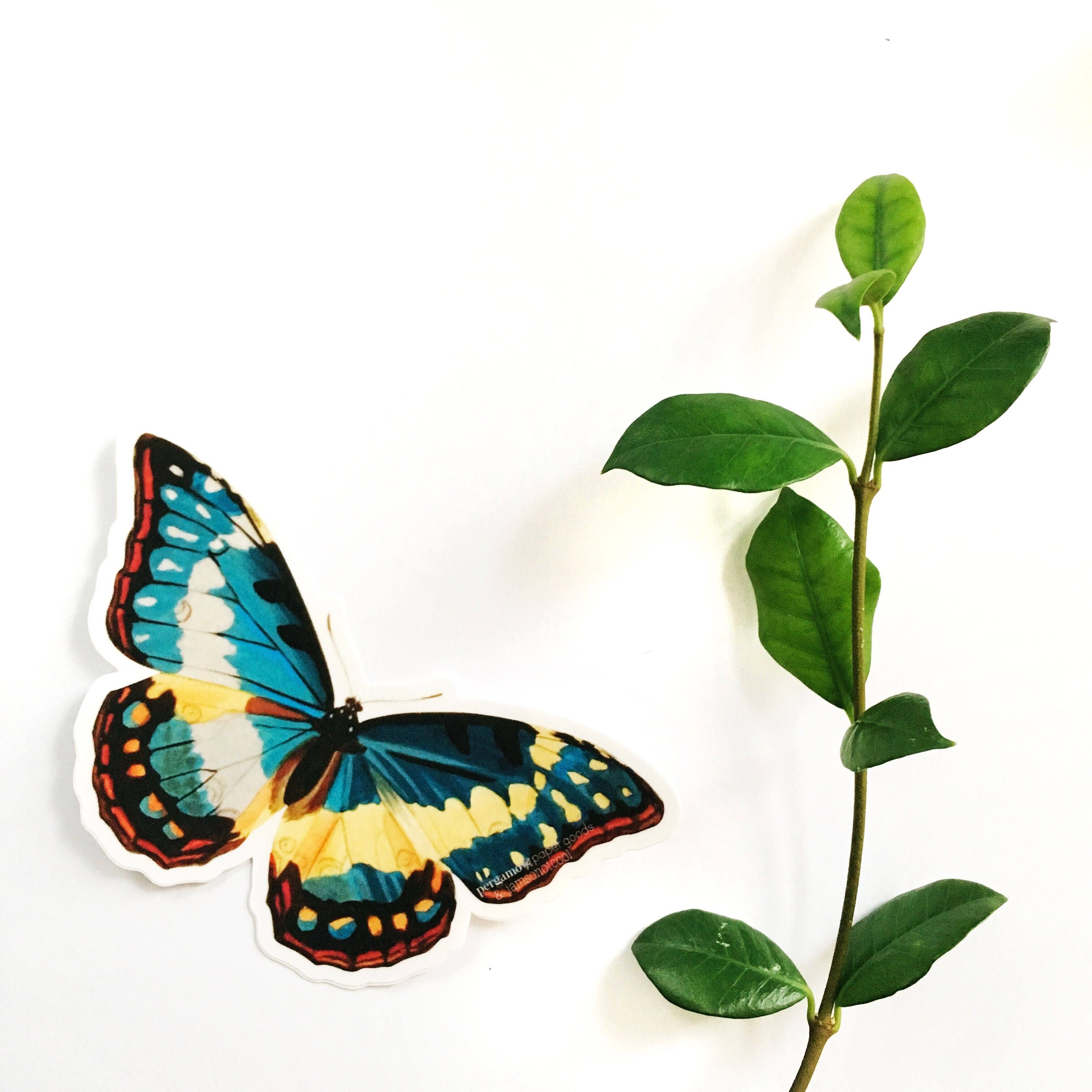 Butterfly Laptop Sticker Pack, Mix and Match Decals, Retro Vinyl Stickers, Nonfade Vintage Pretty Outdoor Water Bottle MacBook Decal Nature - Thumbnail 4