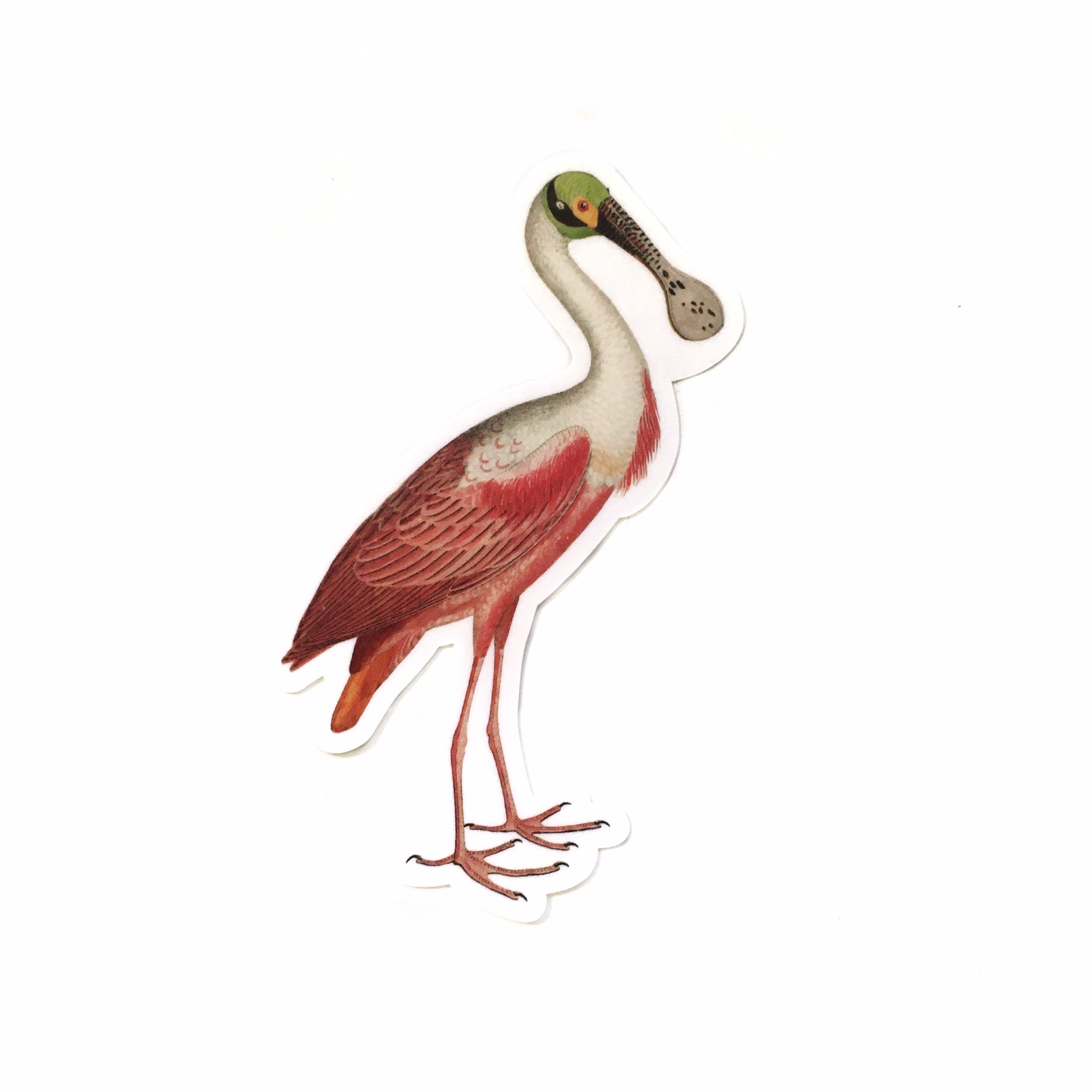 Florida Stickers, Vintage Spoonbill Vinyl Sticker Pack, Pink Tropical Bumper, Bird Laptop Decal, Outdoor Decal Phone Sticker for Hydro Flask - Thumbnail 2