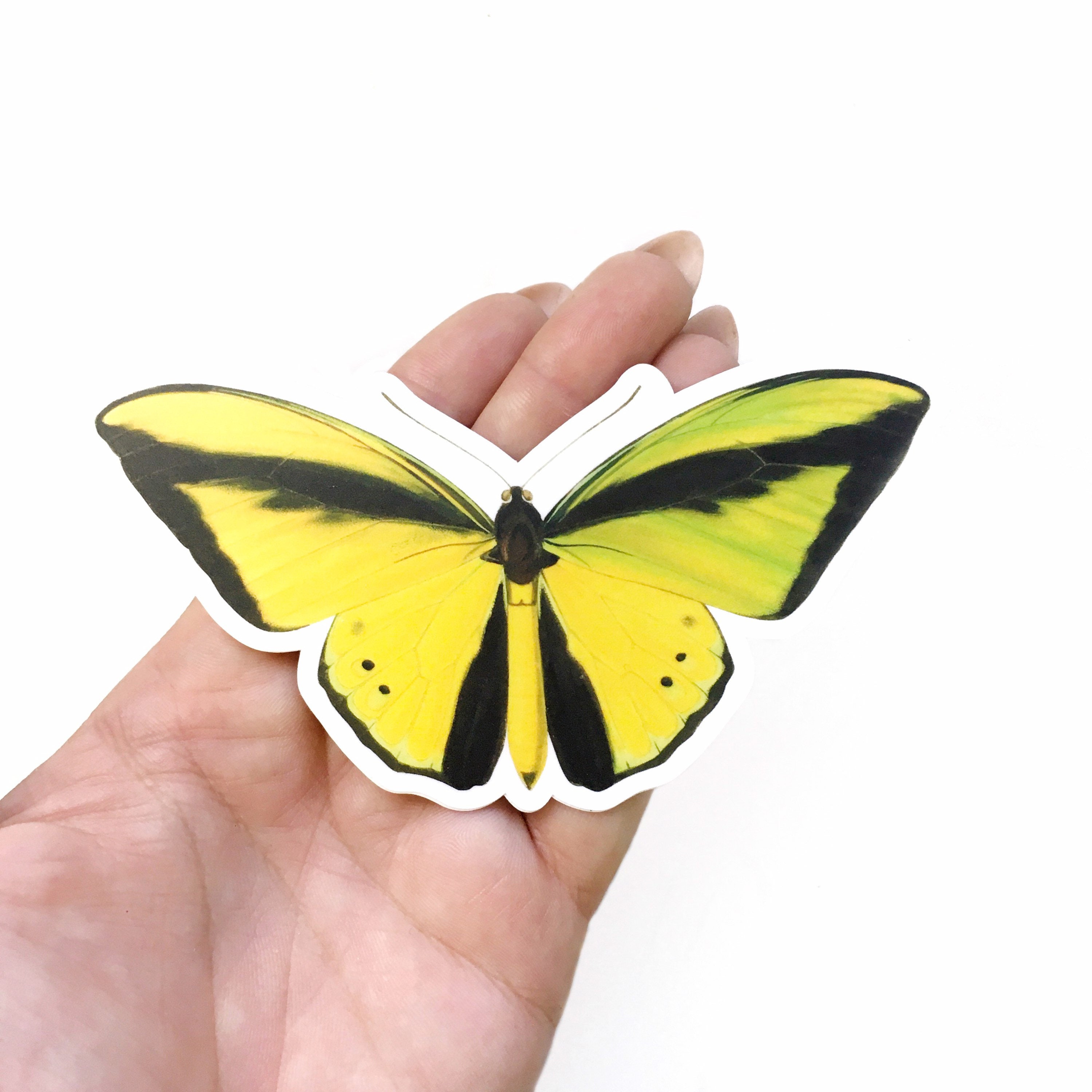 Yellow Butterfly Stickers, Vintage Sticker Pack, Durable Decals for Junk Journal, Laptop Decal for Planner, Antique Illustrated Gifts Garden