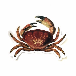 Crab Sticker, Vinyl Stickers, Macbook Sticker Pack, Florida Laptop Decal, Outdoor Decals for Water Bottle Hydroflask Bullet Journal, Crabs