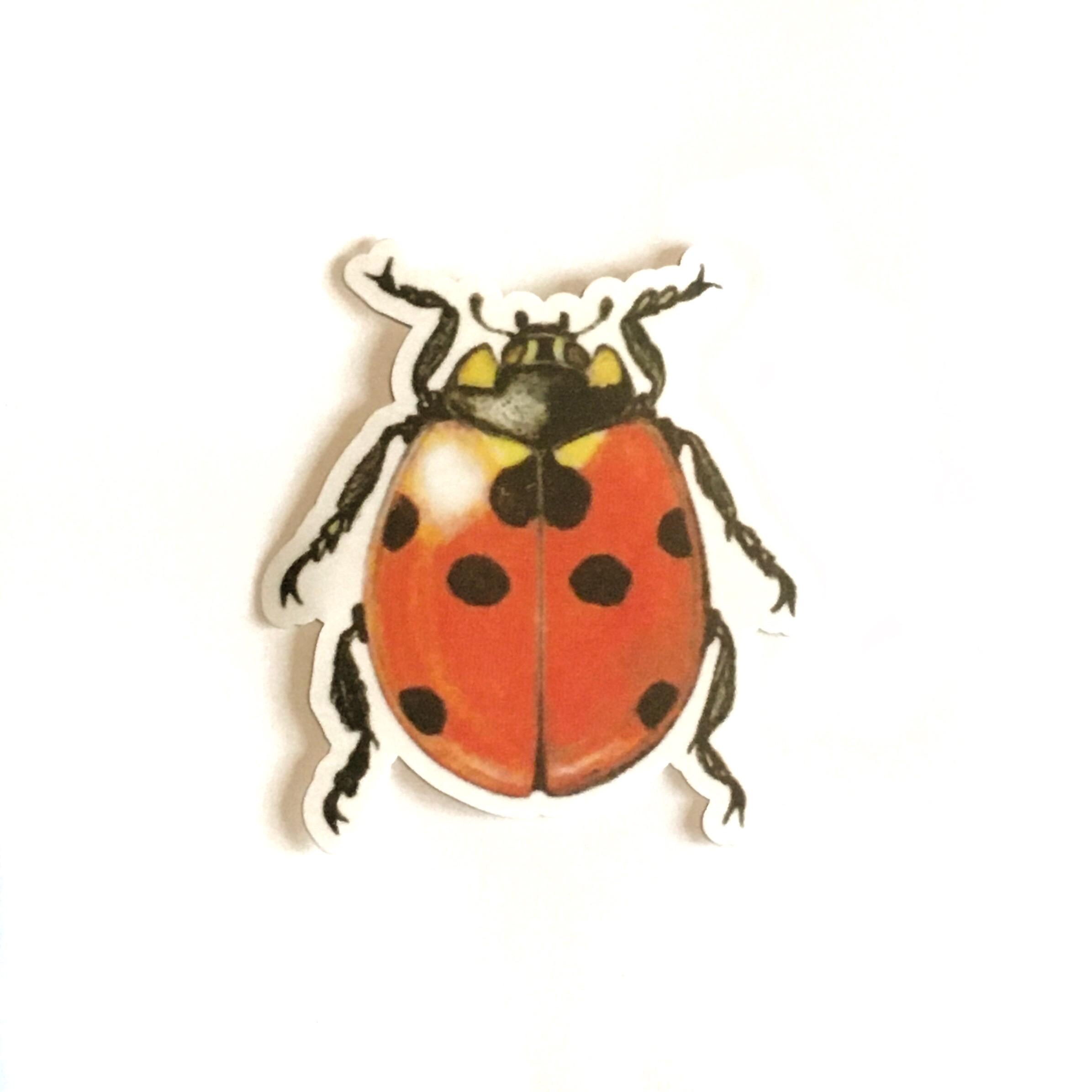 Ladybug Laptop Stickers, Red Beetle Insect Vintage Vinyl Sticker Pack, Pretty Decals, Vinyl Decal, Gift for Girls Phone Notebook - Thumbnail 2