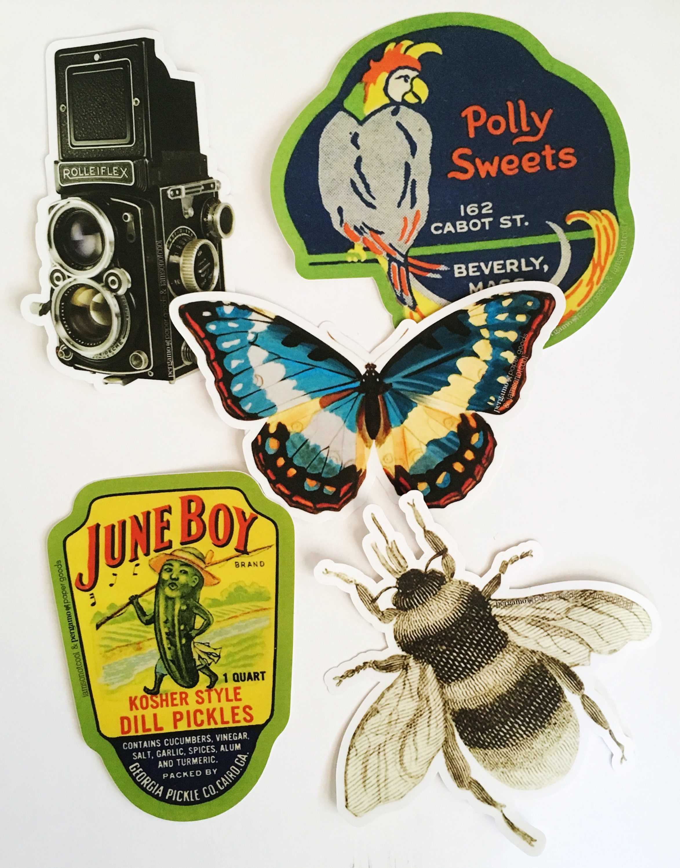Vinyl Sticker Pack 5, Vintage Laptop Stickers, Camera Decal, Pineapple Decals, Sunflower Florida Flamingo Bee Pickle Peacock Butterfly - Thumbnail 2