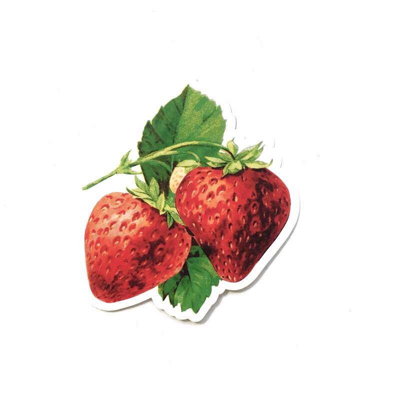 May include: A sticker depicting two red strawberries with green leaves and stems. The strawberries have a textured surface and are set against a white background. The sticker has a white border.