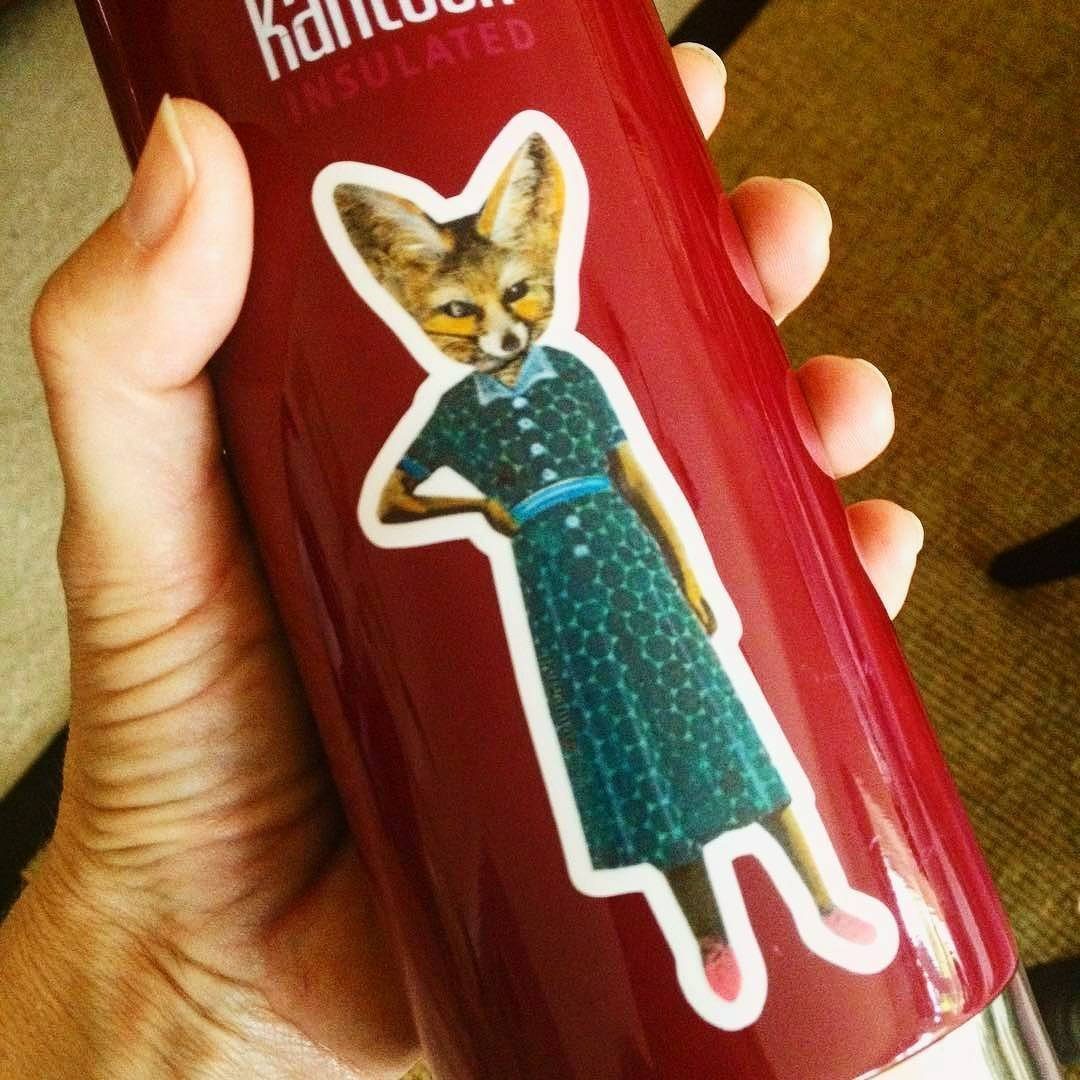 Fox Laptop Sticker Pack, Sassy Animal Vinyl Stickers, Waterproof VSCO Decal, Fennec Fox Decals Illustrated Bumper Stickers for Car Macbook - Thumbnail 3