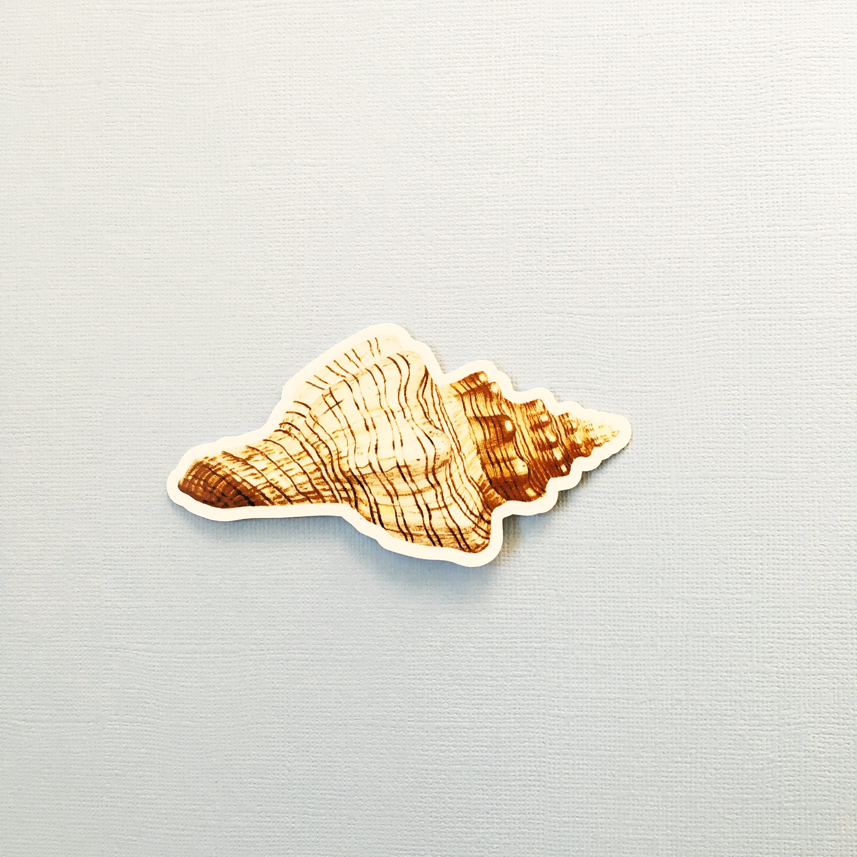 Sea Shell Sticker, Durable Beachy Vintage Best Vinyl Stickers, Antique Beach Decals, Ocean Seashell Conch Laptop Sticker, Wholesale - Thumbnail 2