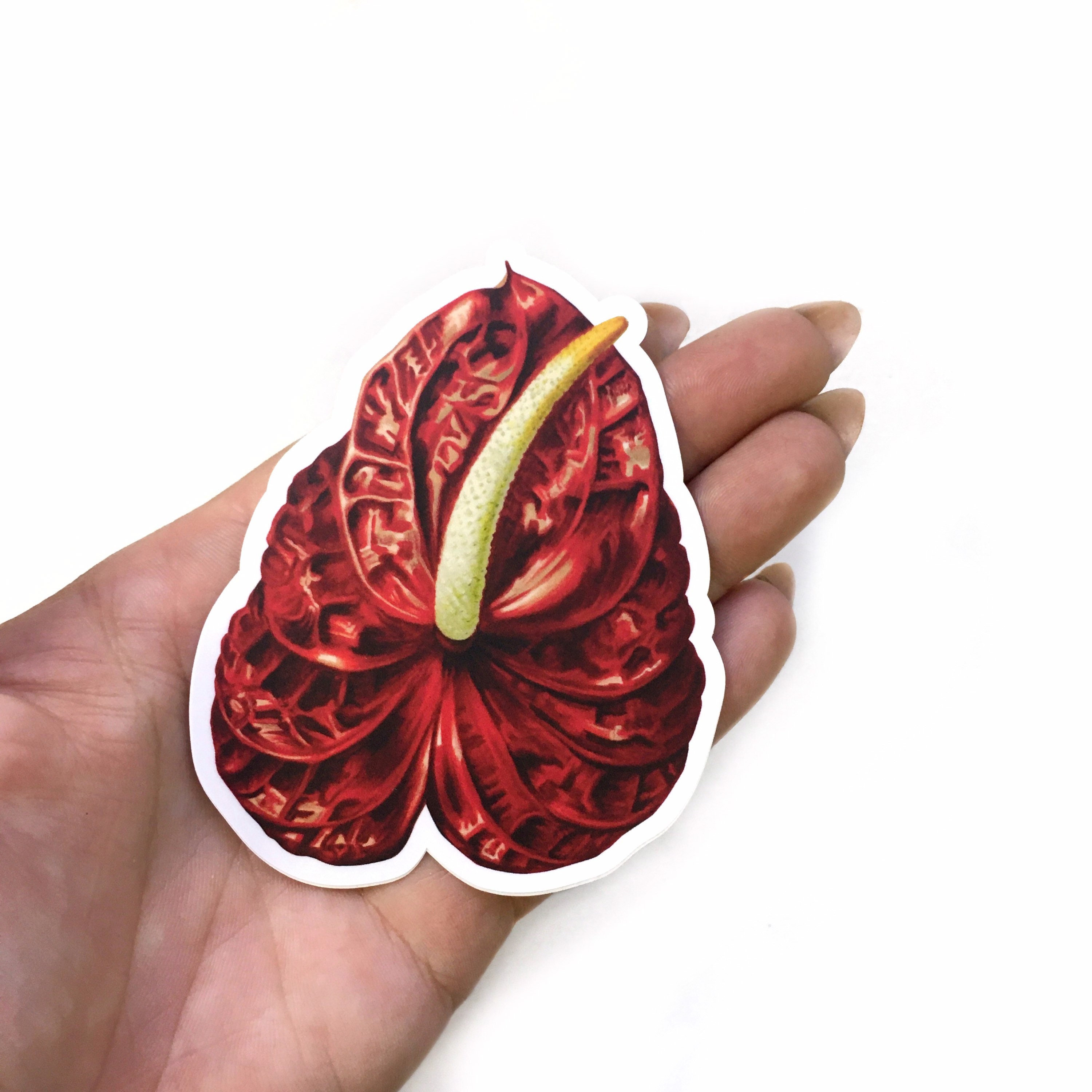 Red Anthurium Stickers, Vinyl Flowers Laptop Sticker Pack, Houseplants Decal Illustration Decals, Plant Mom Gifts, Tropical Plants Ephemera