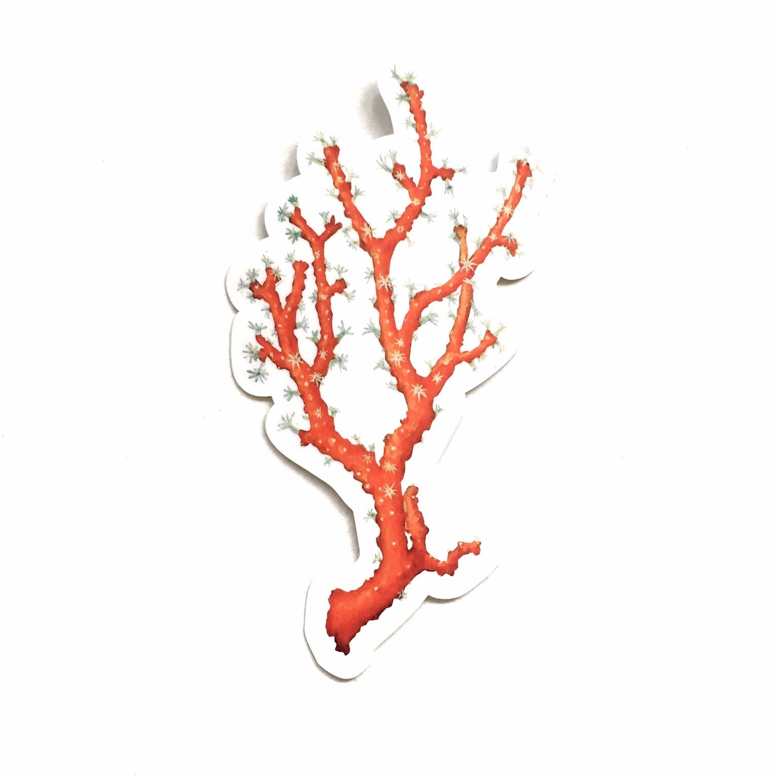 Red Coral Sticker, Vintage Botanical Vinyl Sticker Pack, Antique Sea Life Stickers, Ocean Laptop Decals, Beach Life Decal for Journal, Flask - Image 1