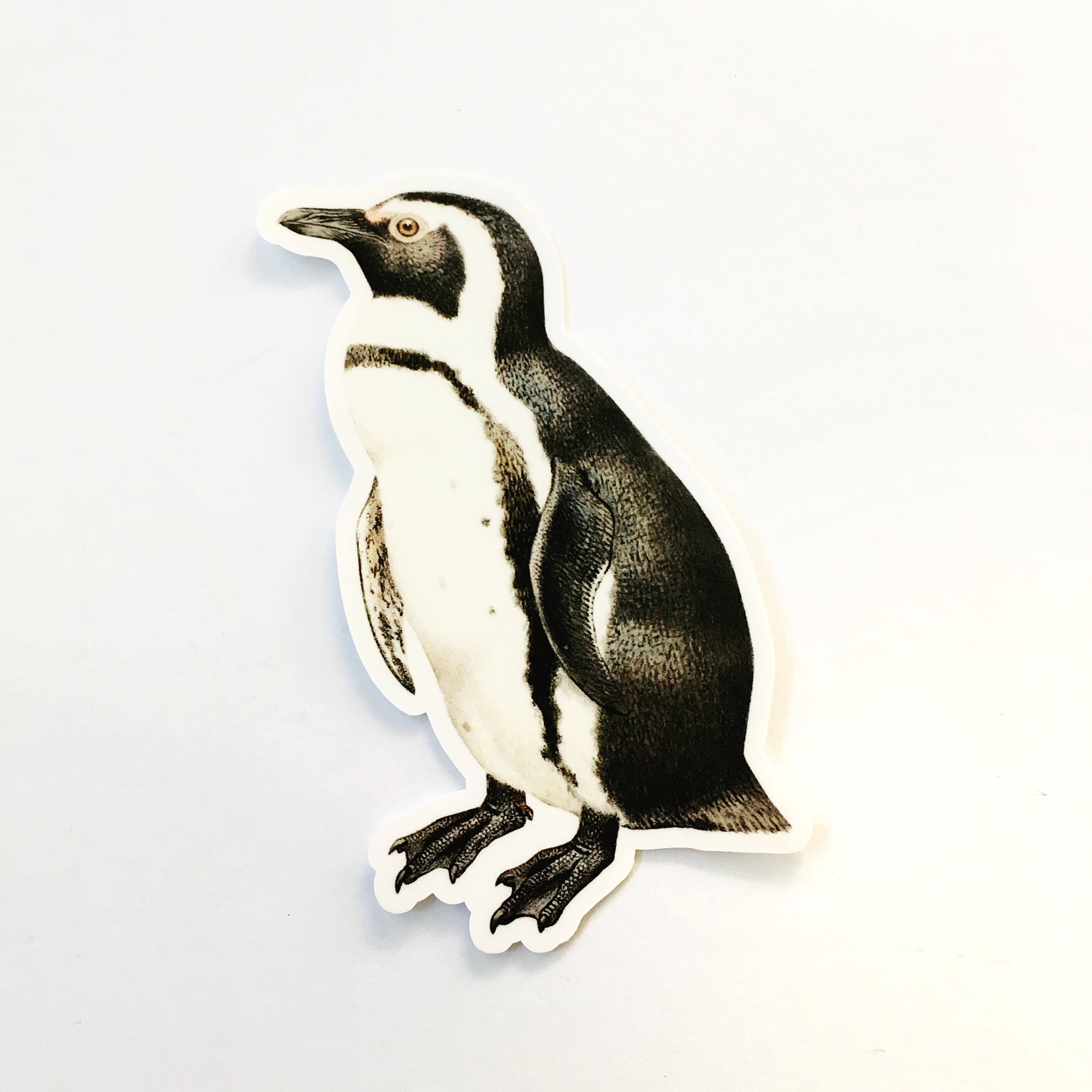 Illustrated Penguin Sticker Pack, Naturalistic Vintage Vinyl Stickers, Bird Decal, Laptop Decals, Antique Natural Durable Arctic Animal - Thumbnail 3