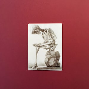 May include: A detailed pencil drawing of a human skeleton sitting on a rock. The skeleton is in a contemplative pose with its head resting on its hand.